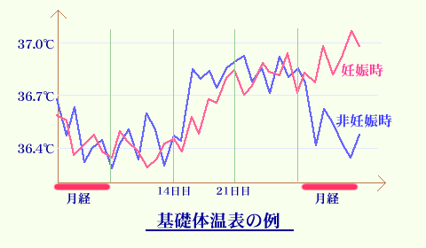 基礎体温 いつも通りの生理 妊娠 生理と妊娠による基礎体温の変化について、医師が解説します。