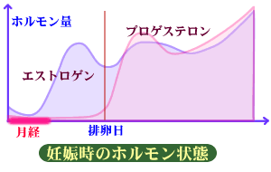 方法 生理 を 早める 生理を早める・遅らせる食べ物は？大切な日に合わせてずらす方法を解説