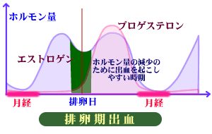 排卵 出血 と は